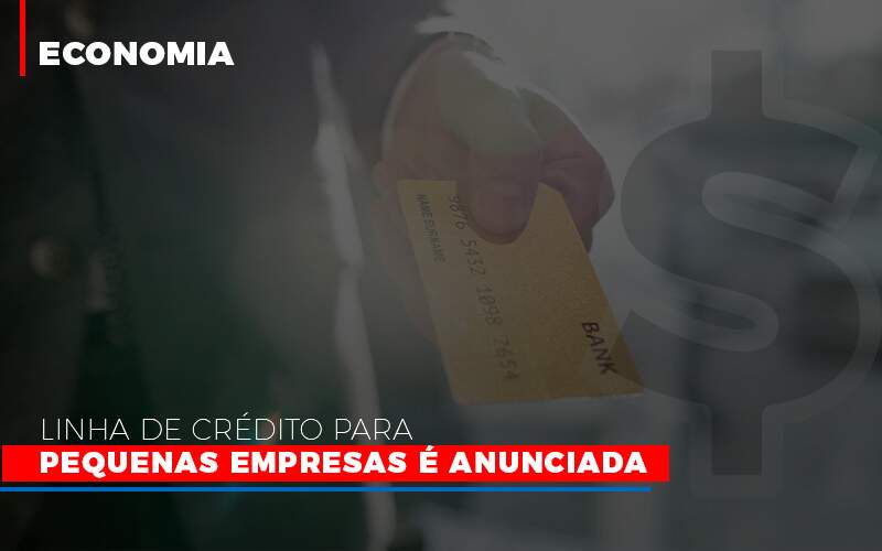 Linha De Credito Para Pequenas Para Pequenas Empresas E Anunciada - Souza & Souza Contabilidade