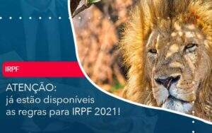 Ja Estao Disponiveis As Regras Para Irpf 2021 Organização Contábil Lawini - Souza & Souza Contabilidade