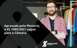 Aprovado Pleno Plenario O Pl 15852021 Segue Para A Camara Souza E Souza - Souza & Souza Contabilidade