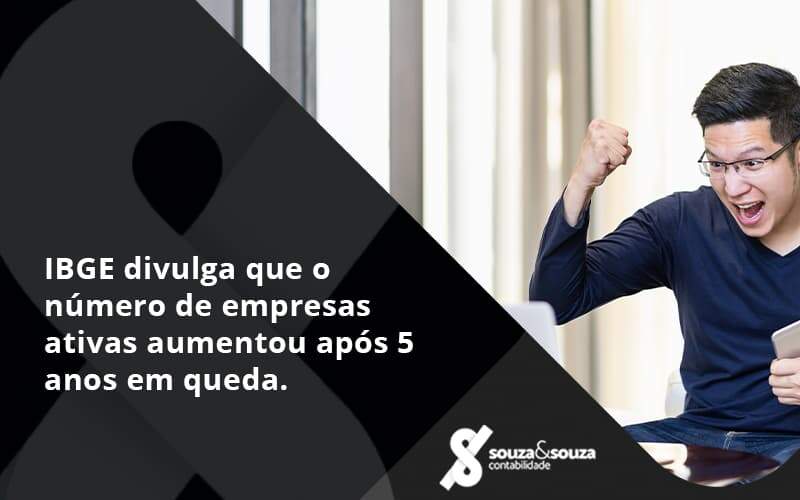 Ibge Divulga Que Numero De Empresa Ativas Aumentou Souza E Souza - Souza & Souza Contabilidade