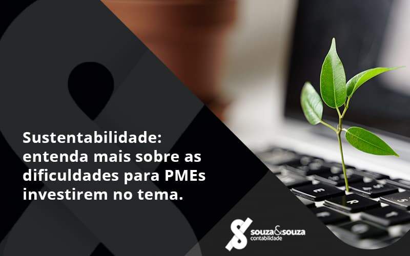 Sustentabilidade Souza E Souza - Souza & Souza Contabilidade